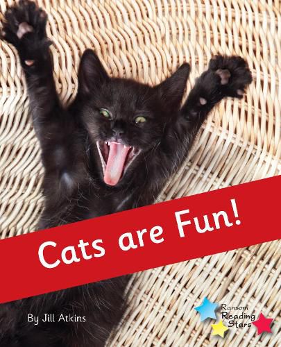 Cover image for Cats are Fun!: Phonics Phase 4