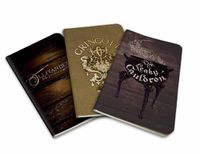 Cover image for Harry Potter: Diagon Alley Pocket Notebook Collection (Set of 3)