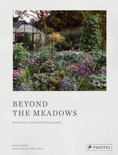 Cover image for Beyond the Meadows