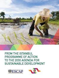 Cover image for From the Istanbul Programme of Action to the 2030 Agenda for Sustainable Development