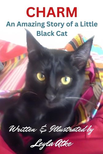 Cover image for Charm: An Amazing Story of a Little Black Cat