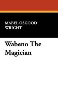 Cover image for Wabeno the Magician