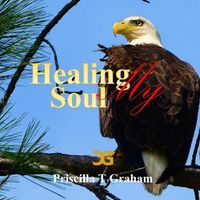 Cover image for Healing My Soul