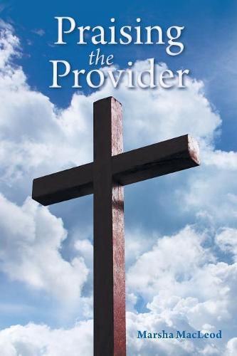 Cover image for Praising the Provider