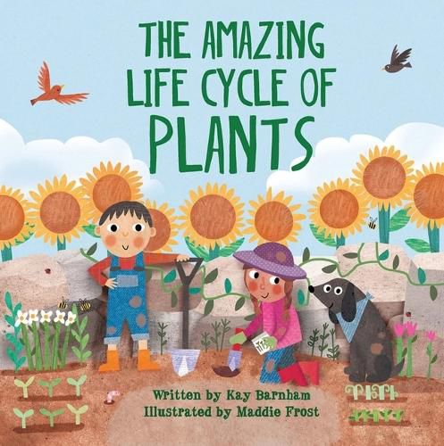 Cover image for The Amazing Life Cycle of Plants