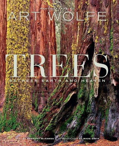 Cover image for Trees: Between Heaven and Earth