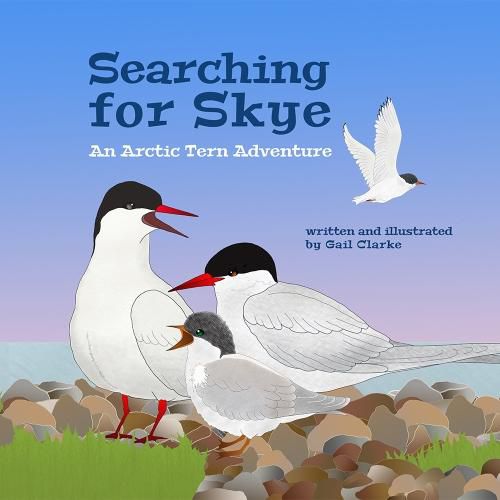 Cover image for Searching For Skye: An Arctic Tern Adventure