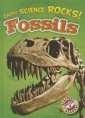 Fossils