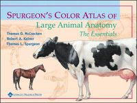 Cover image for Spurgeon's Color Atlas of Large Animal Anatomy: The Essentials