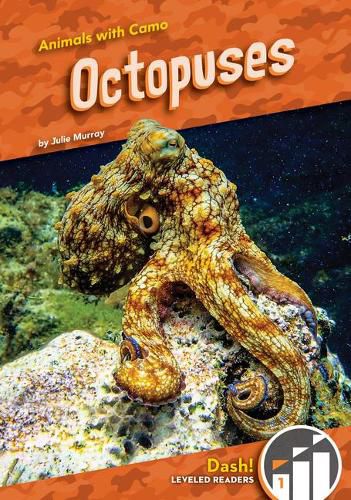 Cover image for Octopuses