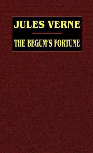 Cover image for The Begum's Fortune