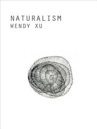 Cover image for Naturalism