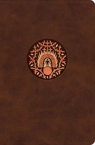 Cover image for ESV The Biggest Story Holy Bible for Kids