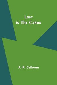 Cover image for Lost in the Canon