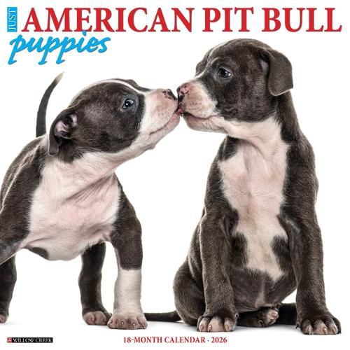 Cover image for American Pit Bull Terrier Puppies 2026 12 X 12 Wall Calendar