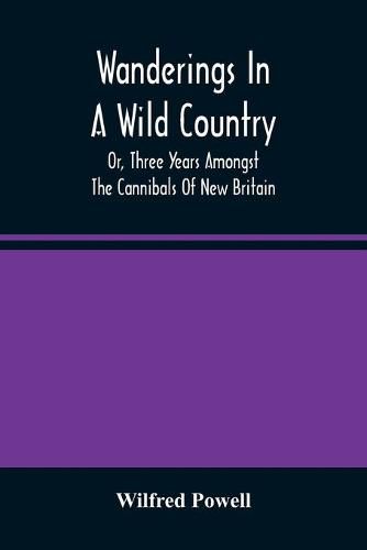 Cover image for Wanderings In A Wild Country: Or, Three Years Amongst The Cannibals Of New Britain