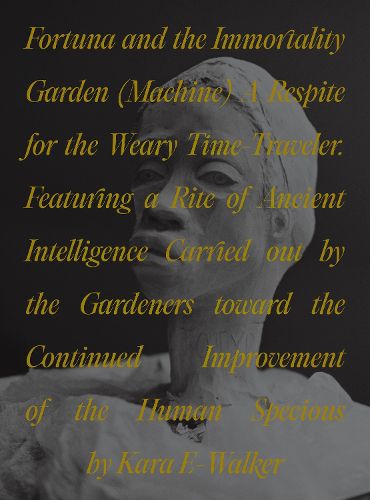 Cover image for Fortuna and the Immortality Garden (Machine)