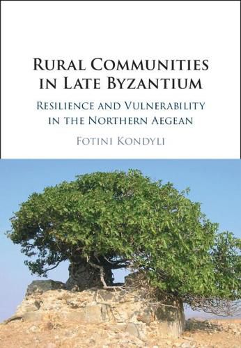 Cover image for Rural Communities in Late Byzantium: Resilience and Vulnerability in the Northern Aegean