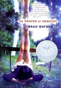 Cover image for The Heaven of Mercury: A Novel