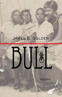 Cover image for Bull: The Journey of a Freedom Icon