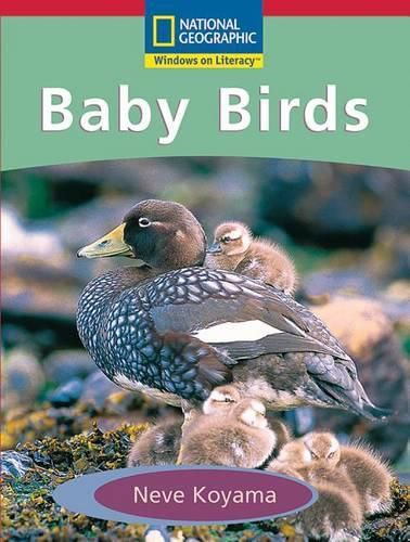 Cover image for Windows on Literacy Emergent (Science: Life Science): Baby Birds