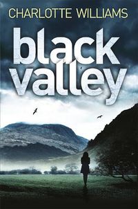 Cover image for Black Valley