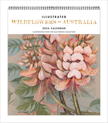 Illustrated Wildflowers of Australia 2024 Deluxe Wall Calendar