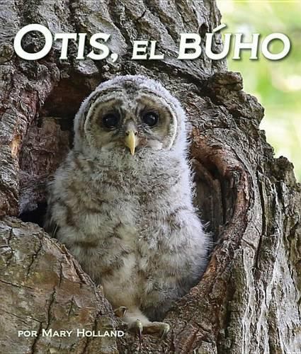 Cover image for Otis, El Buho (Otis the Owl)