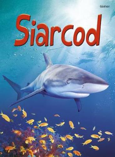 Cover image for Cyfres Dechrau Da: Siarcod