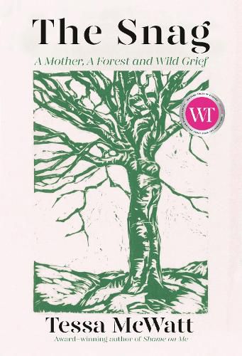 Cover image for The Snag