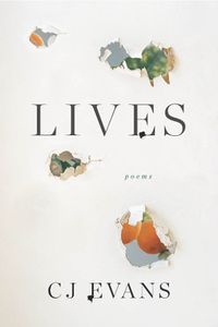 Cover image for Lives