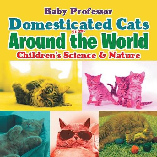 Cover image for Domesticated Cats from Around the World Children's Science & Nature