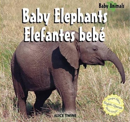 Cover image for Elephants / Elefantes Bebe