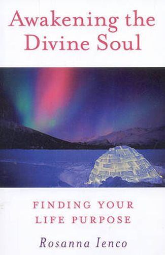 Cover image for Awakening the Divine Soul - Finding Your Life Purpose