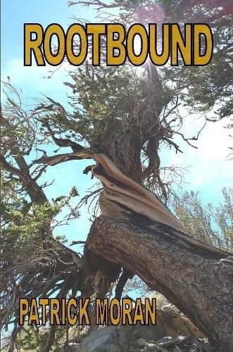 Cover image for Rootbound