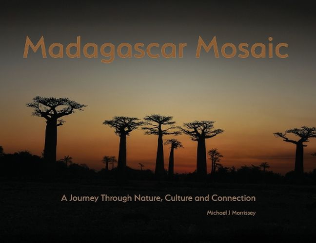 Cover image for Madagascar Mosaic - A Journey Through Nature, Culture, and Connection