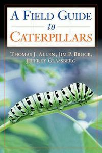 Cover image for Caterpillars in the Field and Garden: A Field Guide to the Butterfly Caterpillars of North America