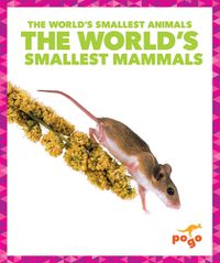 Cover image for The World's Smallest Mammals