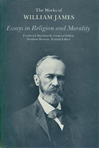 Cover image for Essays in Religion and Morality