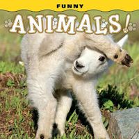 Cover image for Funny Animals!