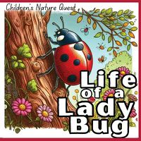 Cover image for Life of a Lady Bug