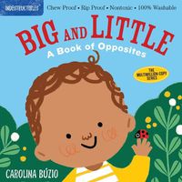 Cover image for Indestructibles: Big and Little: A Book of Opposites: Chew Proof * Rip Proof * Nontoxic * 100% Washable (Book for Babies, Newborn Books, Safe to Chew)