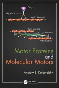 Cover image for Motor Proteins and Molecular Motors