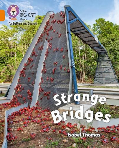 Cover image for Strange Bridges: Band 06/Orange