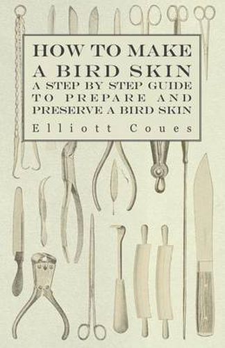 Cover image for How to Make a Bird Skin - A Step by Step Guide to Prepare and Preserve a Bird Skin