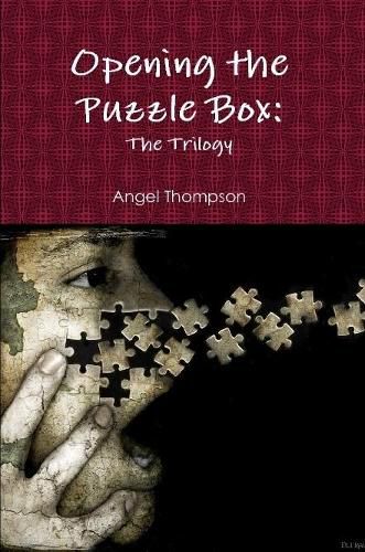 Cover image for Opening the Puzzle Box