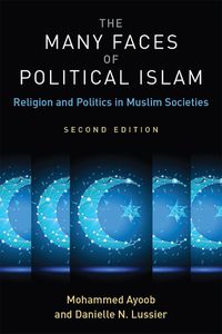 Cover image for The Many Faces of Political Islam: Religion and Politics in Muslim Societies