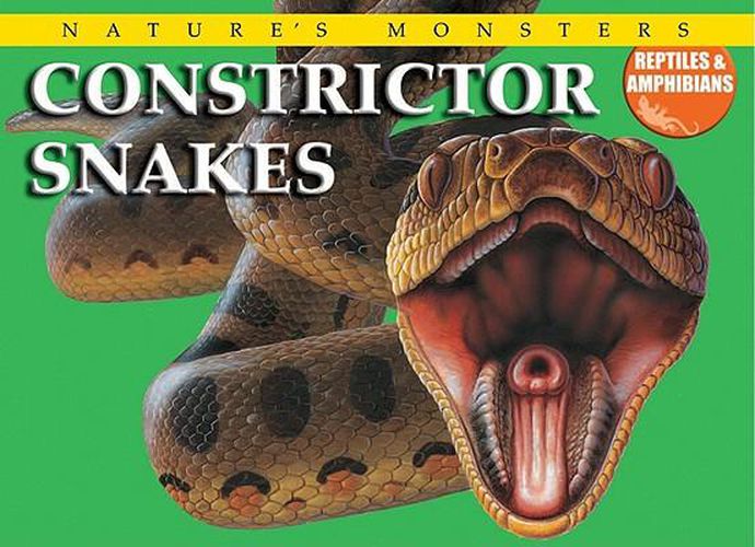 Cover image for Constrictor Snakes