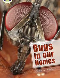 Cover image for Bug Club Independent Non Fiction Year Two Lime A Bugs in our Homes