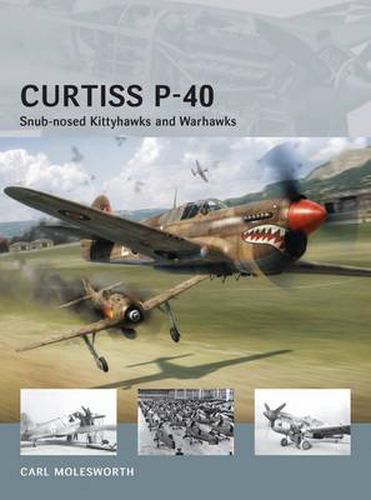 Curtiss P-40: Snub-nosed Kittyhawks and Warhawks